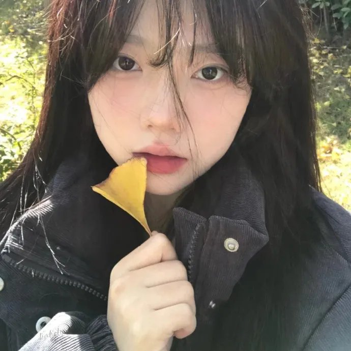 花月流情